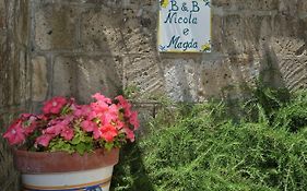 Nicola E Magda